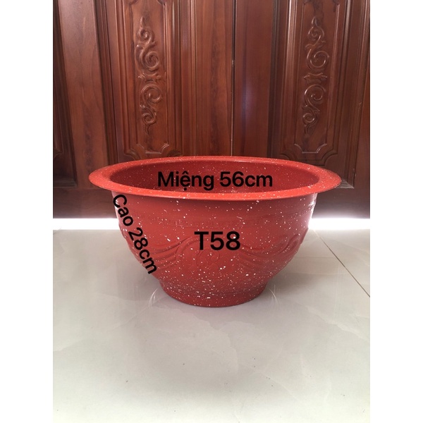{3 Cái} Chậu Nhựa Truyền Thống T58 Trồng Cây Vân Đá Đỏ