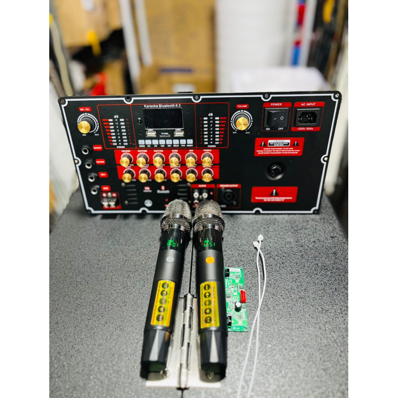 Combo mạch t450s và micro chống hú