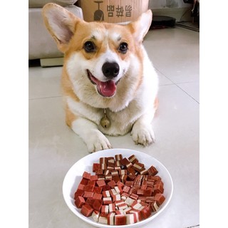 Bánh thưởng / Thịt sấy khô / Đồ ăn vặt cho chó mèo 100G