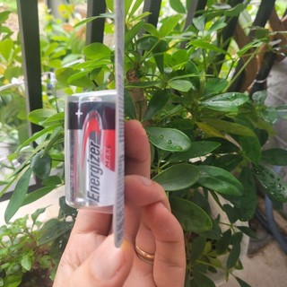 Vỉ 2 pin trung cỡ C Energizer Max