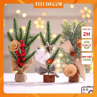 Cây thông trang trí Noel, nhà cửa, cửa hàng, decor chụp ảnh - TiTi Decor