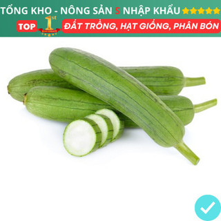 Hạt giống Rau Củ Quả trồng chậu, rau ăn lá, dây leo chịu nhiệt trồng quanh năm, nảy mầm tốt dễ chăm sóc