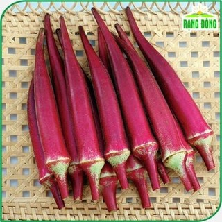 Hạt giống Đậu Bắp Đỏ Rado 309 giàu dinh dưỡng, trồng quanh năm, trái đậu nhiều gói 5g 100 hạt