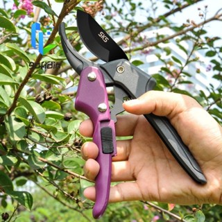 Kéo cắt tỉa cành GOFIDIN, Kéo hái trái cây chuyên nghiệp bằng thép SK5, Kéo hoa Hướng dẫn sử dụng Máy cắt thực vật tiết kiệm nhân công Vườn
