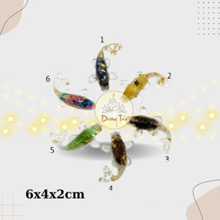  Cá Koi phong thuỷ thả bát sen Minh Đường Tụ Thuỷ 