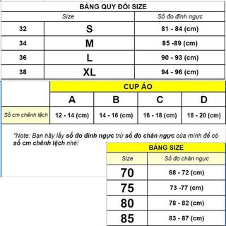 Quần Short Lụa Phối Ren -- VN313