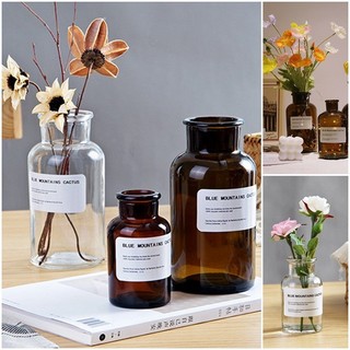 Bình thủy tinh trong suốt Ins Bình hoa Tulip Bình thủy canh Trang trí máy tính để bàn