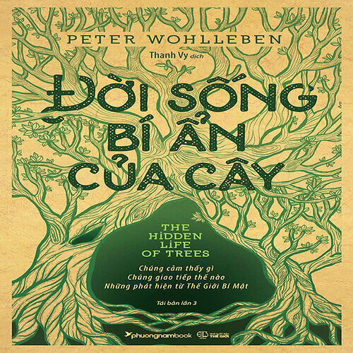 Đời Sống Bí Ẩn Của Cây (Phương Nam)