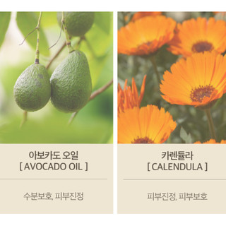 Orgabon Seed Origin Intensive Moisturizing Cream 100ml
