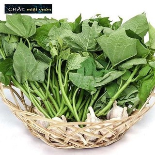 Combo 10 dây khoai lang giống siêu củ/siêu đọt (cây giống xanh/đỏ dài ~35cm)