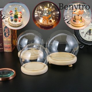 Benytro thủy tinh trong suốt hình cầu dùng trồng cây trang trí