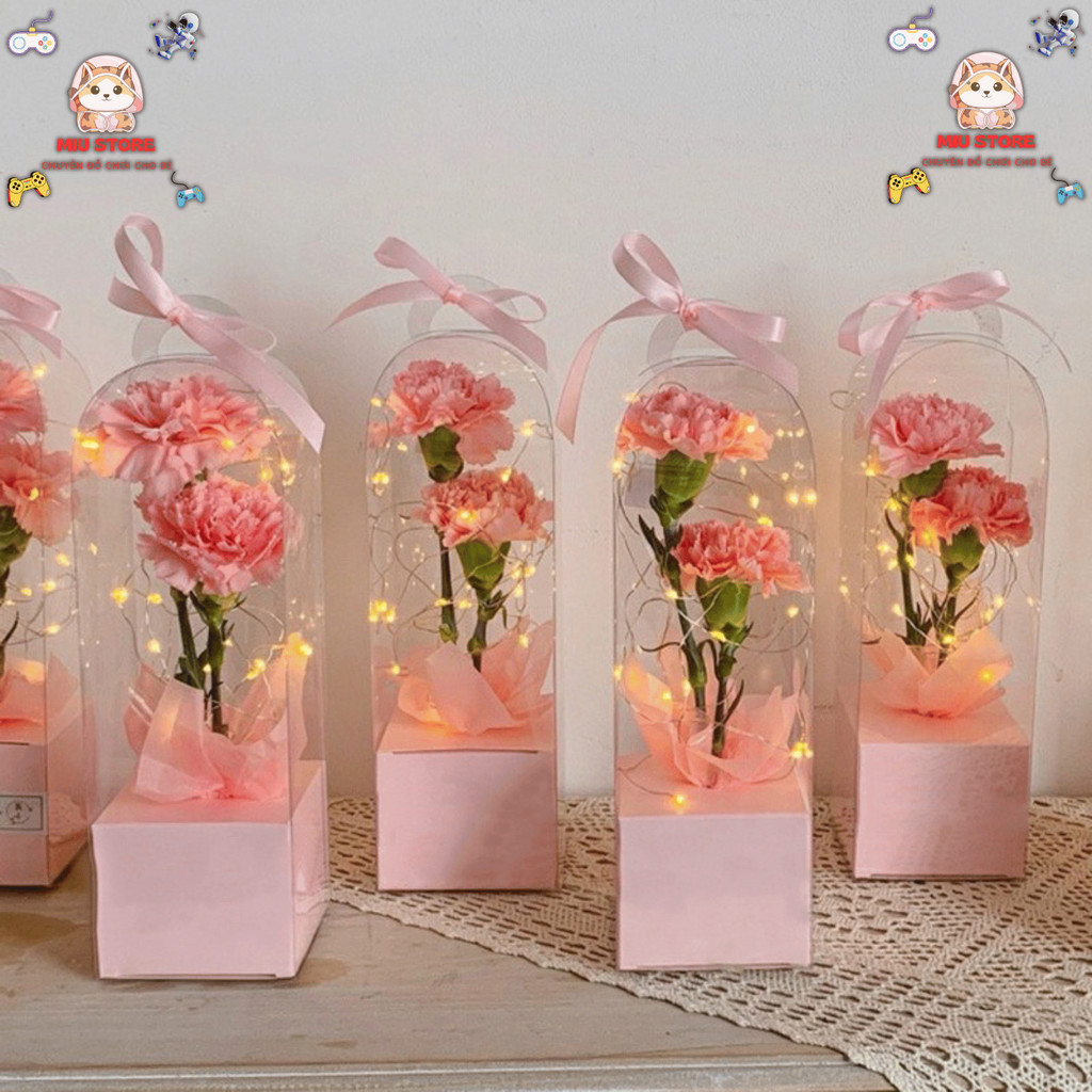 Combo Hộp Mica mini trong suốt, đồ handmadetrang trí quà tết, hộp đựng gấu Bông, quà tặng