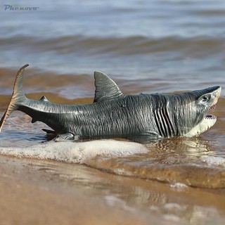 Vẽ hình cá mập megalodon mô hình sinh vật biển các bức tượng nhỏ