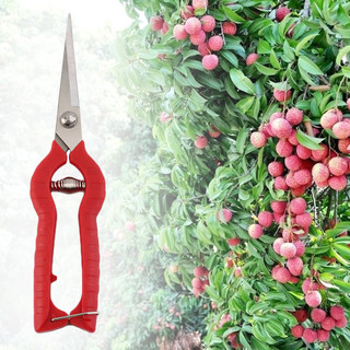 20cm cây kéo cắt tỉa vườn làm vườn cây cảnh cắt hoa kéo dụng cụ