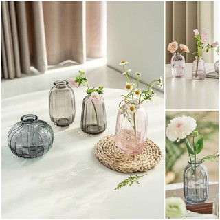 Bình hoa thủy tinh cổ điển Bình thủy canh trong suốt Trang trí nhà cửa