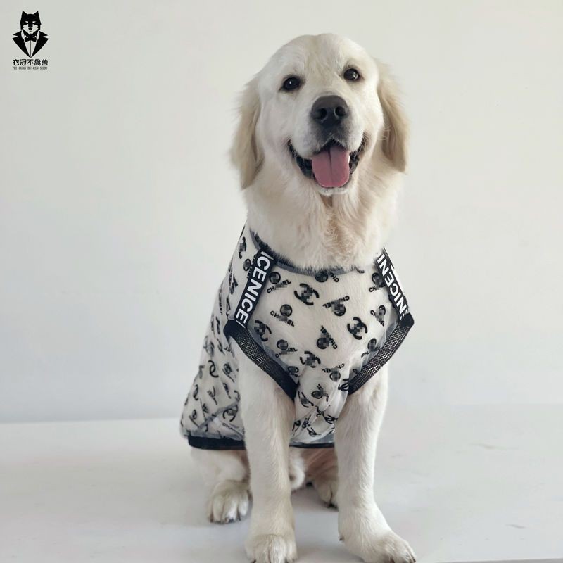 Quần Áo Cho Chó Vừa Lớn Chó Lưới Mỏng Golden Retriever Labrador Quần Áo Mùa Hè Siêu Mỏng Thoáng Khí Quần Áo Cho Chó Lớn