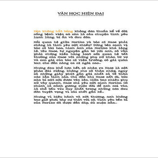 Đèn Không Hắt Bóng (Tái bản năm 2022) (Phương Nam)