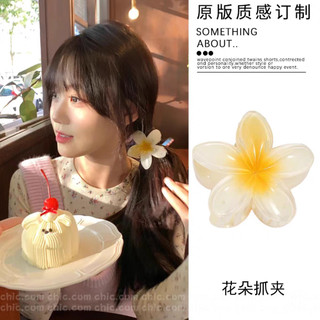 Kẹp Tóc Hoa Màu Sắc Nổi Bật Phong Cách Âu Mỹ Cổ Điển Cho Nữ