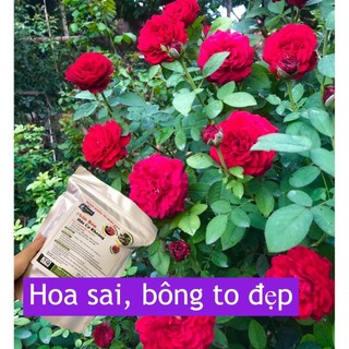 Phân bón hữu cơ khoáng Nhật nhập khẩu bổ sung Humic (gói 1kg), phân bón các loại hoa cây cảnh