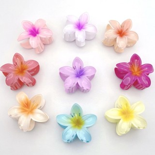 Frangipani Kẹp Đi Biển Kỳ Nghỉ Thời Trang Kẹp Cá Mập