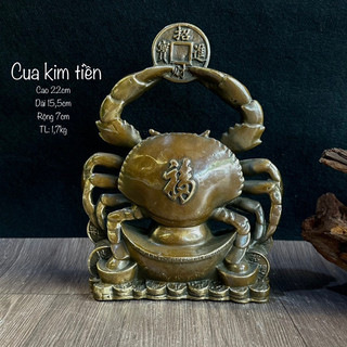 tượng cua, cua kim t-iền