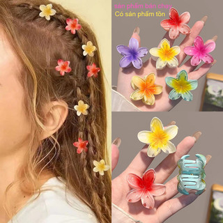 2024 Mới Kẹp Tóc Hoa Sứ Mini Nữ Dễ Thương Bím Tóc Mùa Hè Đi Biển Ngày Lễ Phụ Kiện Tóc