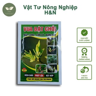  COMBO 50 GÓI 50G Phân bón lá Vua Bật Chồi kích chồi bung đọt gói 50g Vật Tư Nông Nghiệp H&N ---- 