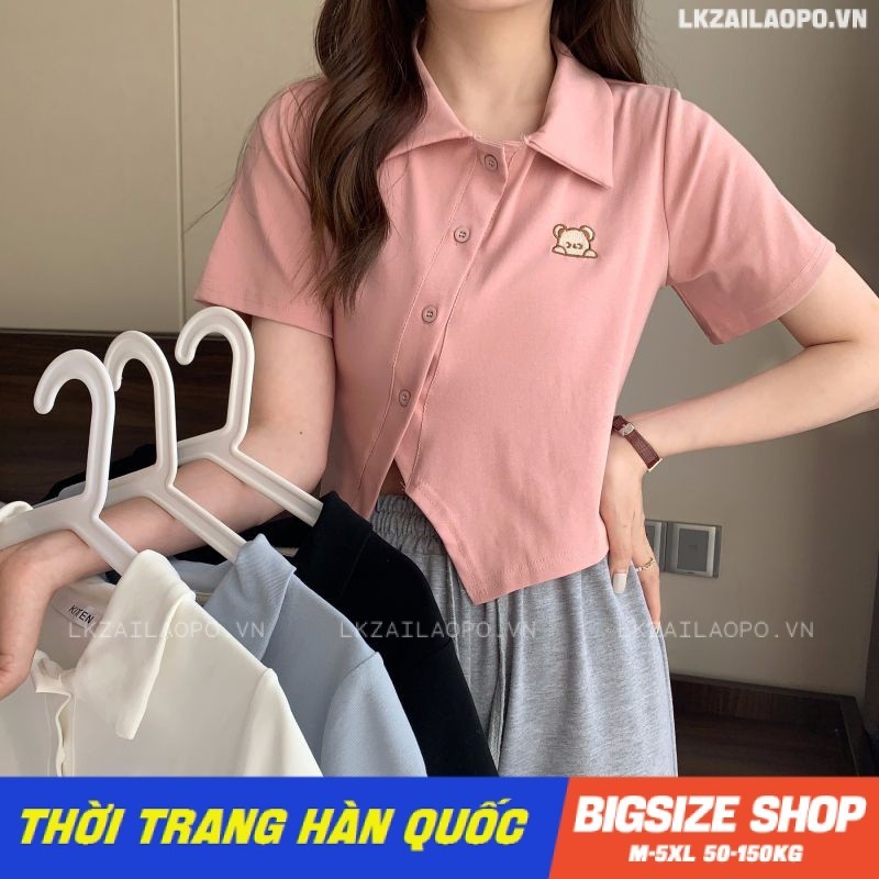 Áo thun nữ tay ngắn Bigsize Áo polo kiểu dáng ôm có cổ Họa tiết thêu mùa hè Phong Cách hàn quốc đẹp Thanh Lịch cho nữ