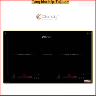 Bếp từ dandy t602 | nhập khẩu thái lan | bảo hành chính hãng 3 năm