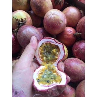 cây giống chanh leo( chanh dây) tím