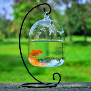Bình cá thủy tinh treo trong suốt trang trí sáng tạo bể cá cho phòng khách