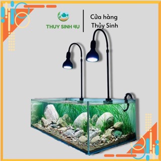 Đèn rọi Biotope thủy sinh thân cao, LED WRGB có thể thay đổi chiều cao thân đèn