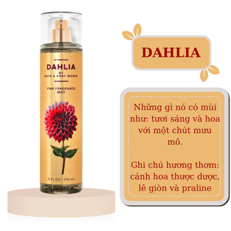 FULL SIZE DAHLIA NEW 2024 - Xịt thơm Body Mist Bath and Body Works