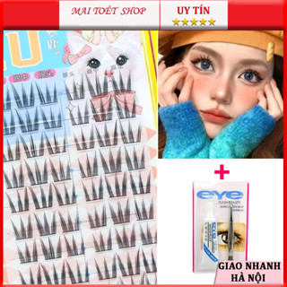 Lông Mi Giả Nữ Siêu Nhiên Dream Deer Girl Nhóm Phong Cách Mèo Móng Vuốt Hoa Hướng Dương Dung Tích Lớn 10 Hàng