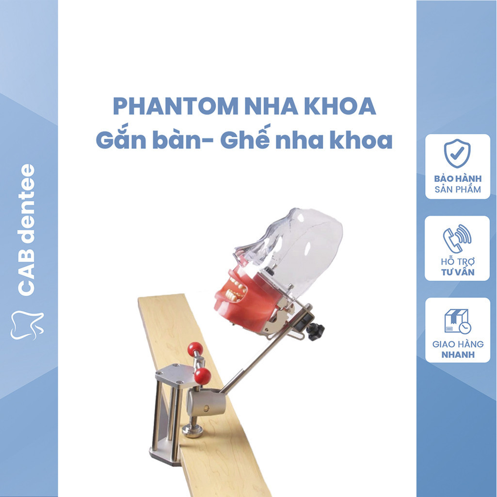 PHANTOM Thực hành nhiều loại, gắn mặt bàn gắn ghế nha khoa