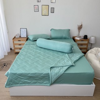 Bộ chăn ga gối REE Bedding XANH MATCHA chần bông chất thun lạnh TL262 đủ size giường nệm M7