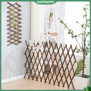 [Surpri] Trellis Gỗ Có Thể Mở Rộng Trang Trí Tường Leo Cây Không Khí Hỗ Trợ Lưới Dọc Giá Treo Khung Hàng Rào Đồ Dùng Làm Vườn