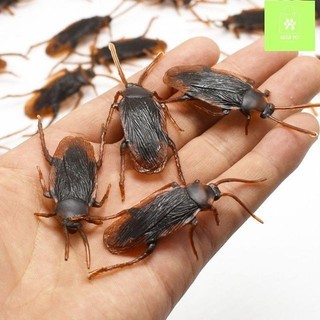 Đồ chơi con gián cho thú cưng xã stress