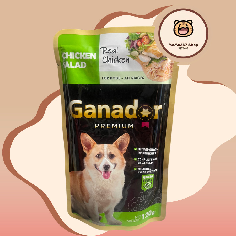 Pate cho chó dạng xốt Ganador Premium 120g