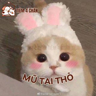 Nón mũ tai thỏ dễ thương cho chó, mèo, thú cưng - Tiệm 4 chân hỏa tốc