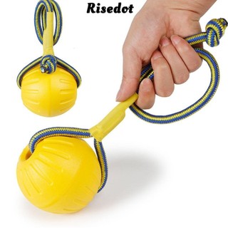 Risedot Bóng Cao Su Đồ Chơi Huấn Luyện Chó