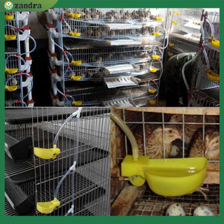 Bát uống nước chim cút tự động Chim bồ câu tiện lợi Cốc ăn gà Phụ kiện lồng uống thực tế