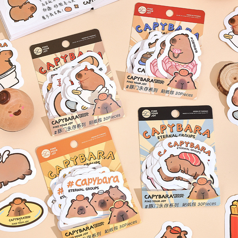 Stickers - Túi 30 Nhãn Dán Capybara ETERNAL Group Viền Trắng