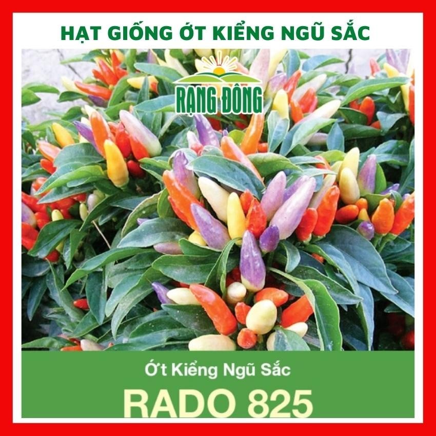 Hạt giống ớt kiểng ngũ sắc - GÓI 30 HẠT DATVIET SEED
