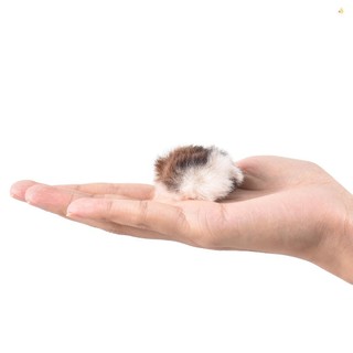 Micrô Kính Chắn Gió Lông Kính Chắn Gió Mic Cho Micrô Kẹp