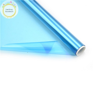 Everthinggooddown 30cmx1M / Cuộn màng khô nhạy quang PCB cho công cụ Photoresist sản xuất mạch vn