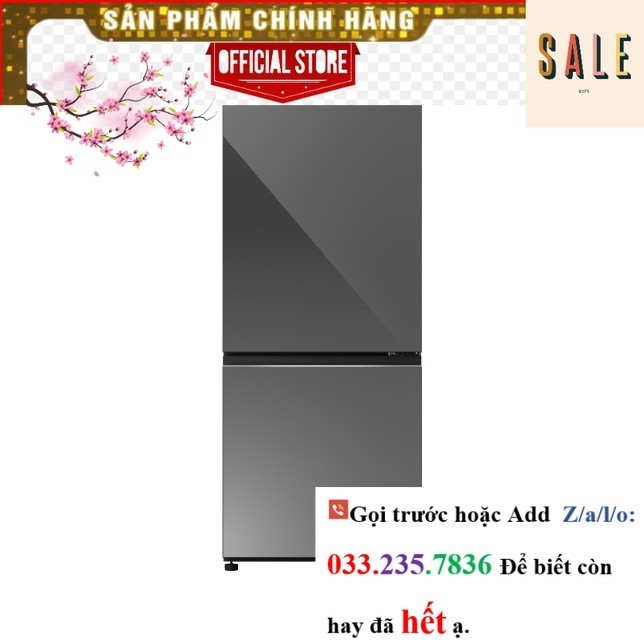 SỐc Tủ lạnh Panasonic Inverter 255 lít NR-BV281BGMV