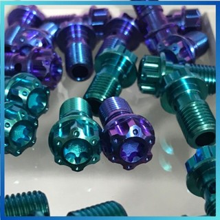 Ốc heo dầu titan GR5 gắn thông dụng các loại xe máy