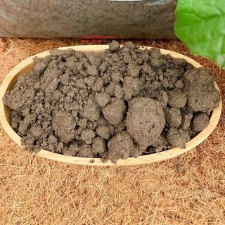 [đất vườn] đất thịt trồng cây 1kg, mua 10kg đất được tặng kèm 1 gói hạt ngẫu nhiên