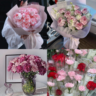 Bó hoa cẩm chướng nhân tạo 54cm trang trí nhà có thân cây, trang trí nhà hoa mô phỏng, sắp xếp bàn hoa, bó hoa cẩm chướng Ngày của Mẹ, đầu hoa cẩm chướng